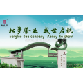 Fornecedor de chá Huangshan songluo -chunmee com padrão da UE para o mercado da europa